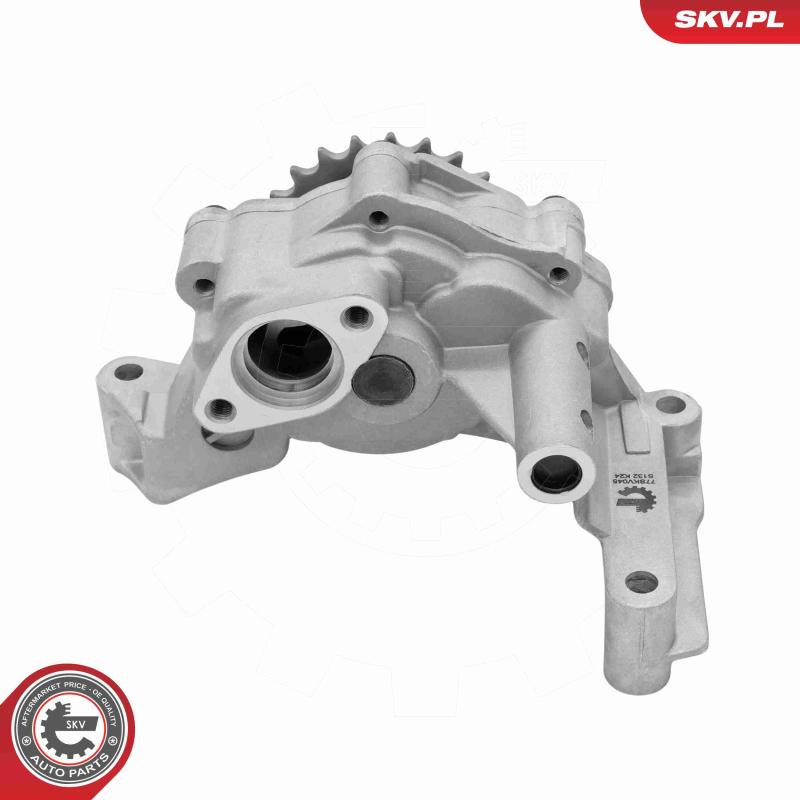Pompe à huile ESEN SKV 77SKV045 - Visuel 1