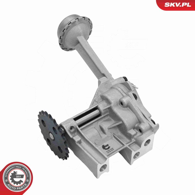 Pompe à huile ESEN SKV 77SKV049 - Visuel 1