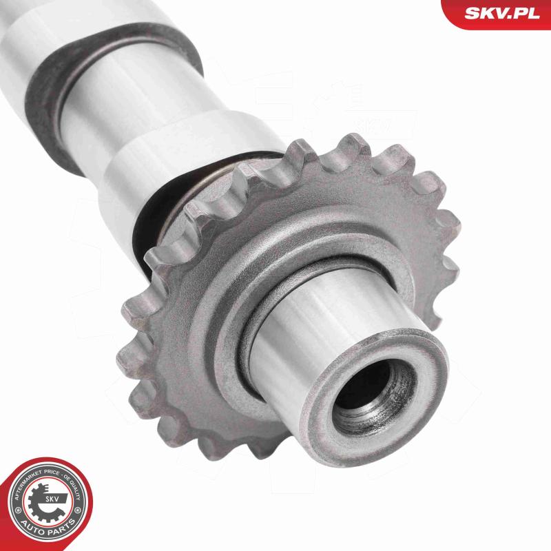 Arbre à came ESEN SKV 80SKV003 - Visuel 1