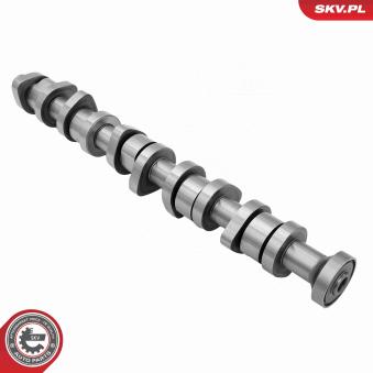 Arbre à came ESEN SKV OEM 070109101Q
