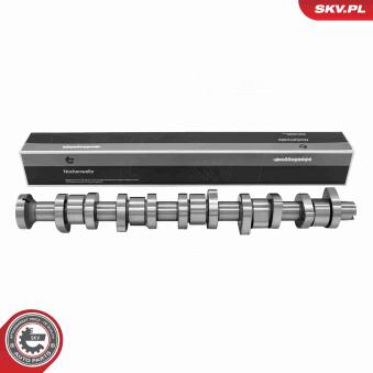 Arbre à came ESEN SKV OEM 070109101P