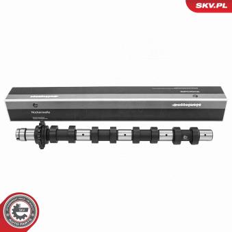 Arbre à came ESEN SKV [80SKV015]