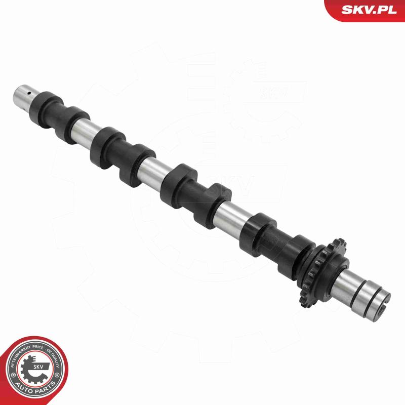 Arbre à came ESEN SKV 80SKV015 - Visuel 1