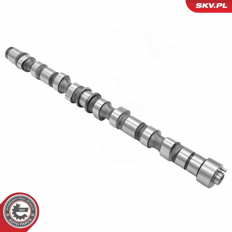 Arbre à came ESEN SKV 80SKV018 - Visuel 1