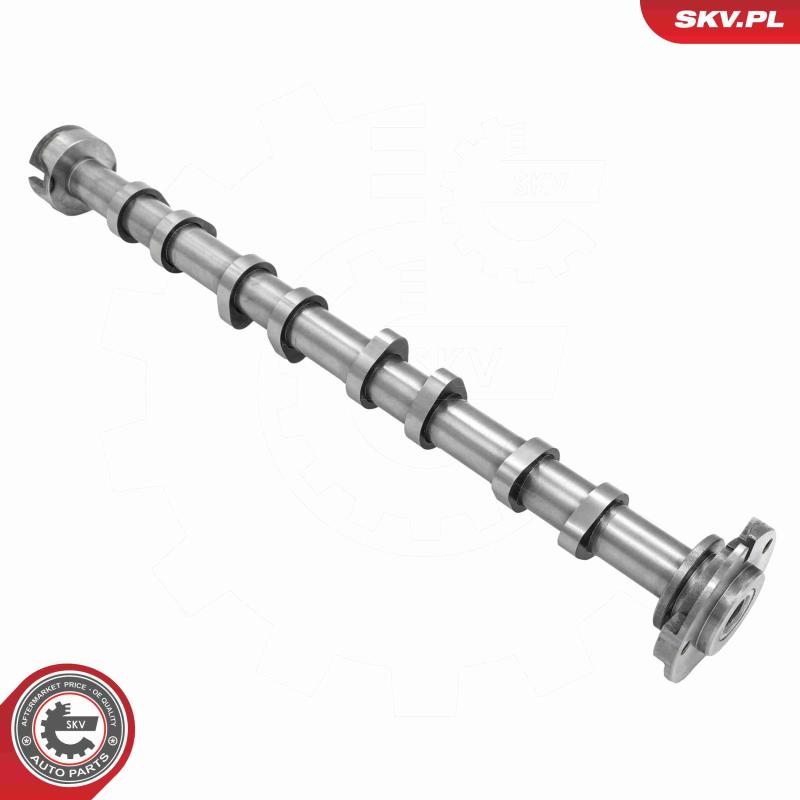 Arbre à came ESEN SKV 80SKV022 - Visuel 1