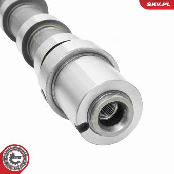 Arbre à came ESEN SKV 80SKV024