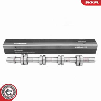 Arbre à came ESEN SKV 80SKV029 pour CHEVROLET CRUZE 2.0 TDI 16V - 140cv