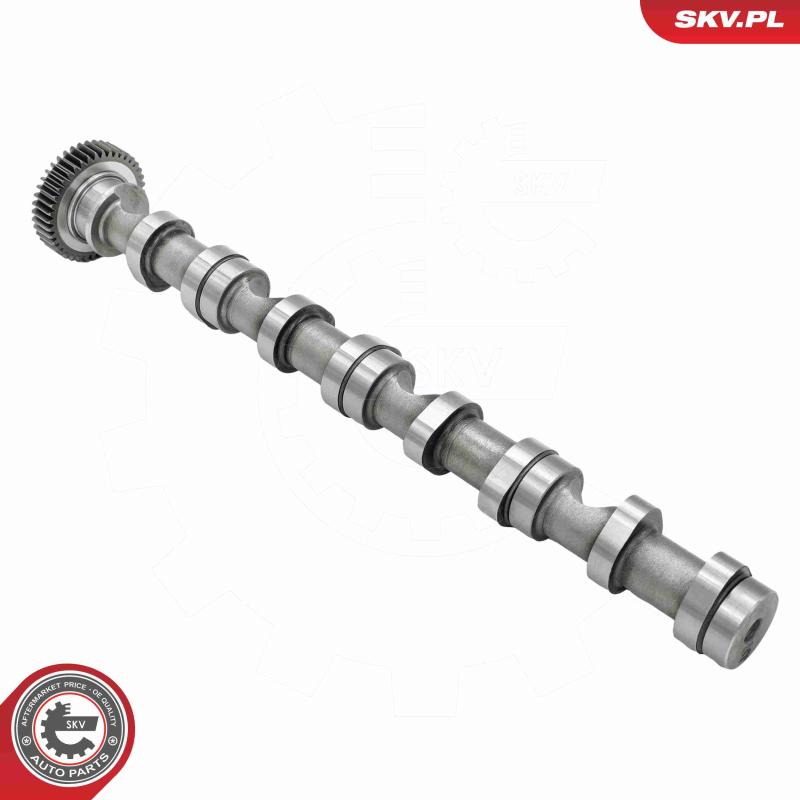 Arbre à came ESEN SKV 80SKV031 - Visuel 1