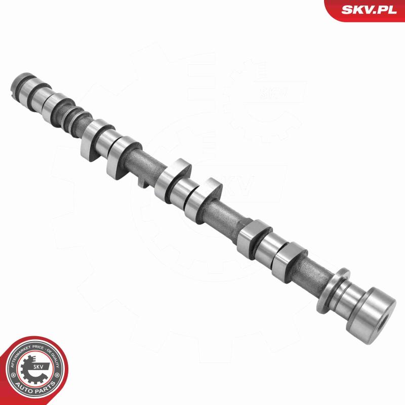 Arbre à came ESEN SKV 80SKV045 - Visuel 1