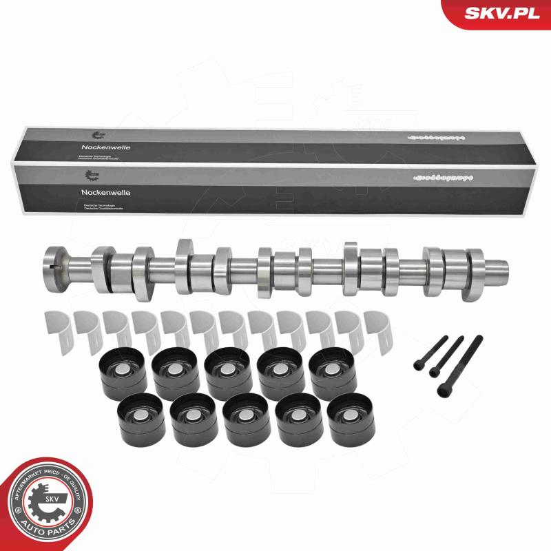 Jeu d'arbres à came ESEN SKV 80SKV304 - Visuel 1