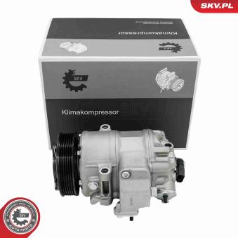 Compresseur, climatisation ESEN SKV 84SKV020 pour FORD GRANADA 1.6 FSI - 110cv