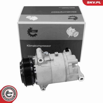 Compresseur, climatisation ESEN SKV 84SKV082 pour ASTON MARTIN DBS 1.6 CDTi - 110cv