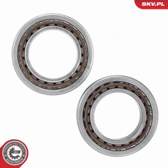 Roulement de roue arrière ESEN SKV [85SKV009]