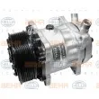 Compresseur, climatisation BEHR HELLA SERVICE [8FK 351 125-061]