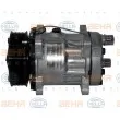 Compresseur, climatisation BEHR HELLA SERVICE [8FK 351 126-291]