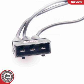 Résistance, pulseur d'air habitacle ESEN SKV 94SKV033 pour BMW X5 1.9 TDI - 110cv