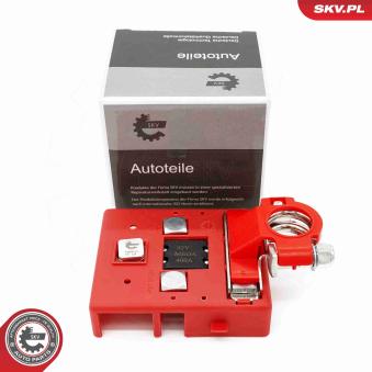 Adaptateur de batterie ESEN SKV [96SKV015]