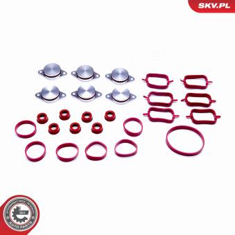 Jeu de joints d'étanchéité, collecteur d'admission ESEN SKV OEM 11617790198