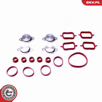 Jeu de joints d'étanchéité, collecteur d'admission ESEN SKV 96SKV053 pour OPEL ASTRA 320td - 150cv