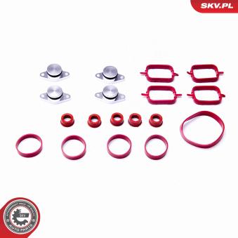 Jeu de joints d'étanchéité, collecteur d'admission ESEN SKV 96SKV054 pour OPEL ASTRA 320td - 150cv