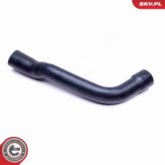 Tuyauterie de carburant ESEN SKV OEM 0806092 Tuyauterie de carburant ESEN SKV OEM 0806092