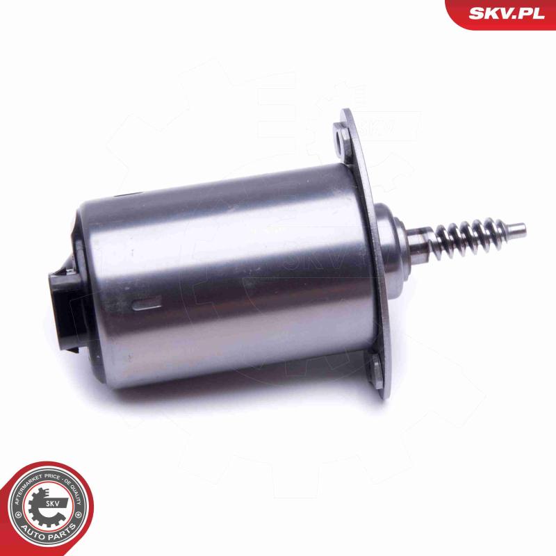 Actuateur, arbre excentrique (levée variable) ESEN SKV 96SKV089 - Visuel 1