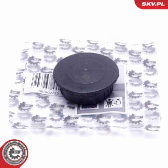 Kit de réparation, ventilation du carter-moteur ESEN SKV 96SKV223 pour BMW X5 E 230 - 204cv Kit de réparation, ventilation du carter-moteur ESEN SKV 96SKV223 pour BMW X5 E 230 - 204cv