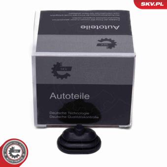 Charnière, trappe essence ESEN SKV 96SKV235 pour RENAULT KANGOO 330 Cd - 204cv