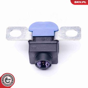Capteur, Gestion des batteries ESEN SKV [96SKV300]