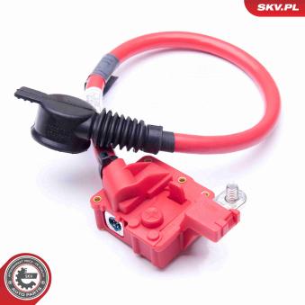 Adaptateur de batterie ESEN SKV 96SKV301
