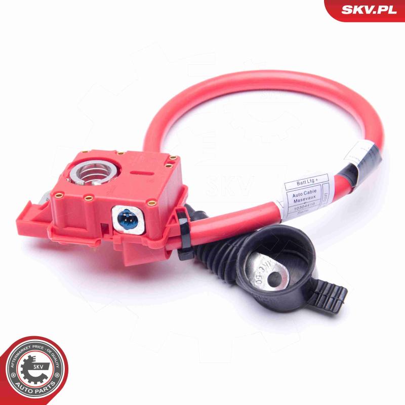 Adaptateur de batterie ESEN SKV 96SKV301 - Visuel 1