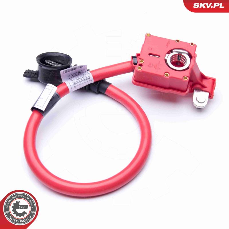 Adaptateur de batterie ESEN SKV 96SKV301 - Visuel 2