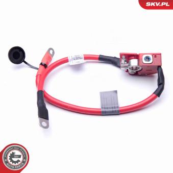 Adaptateur de batterie ESEN SKV [96SKV303]