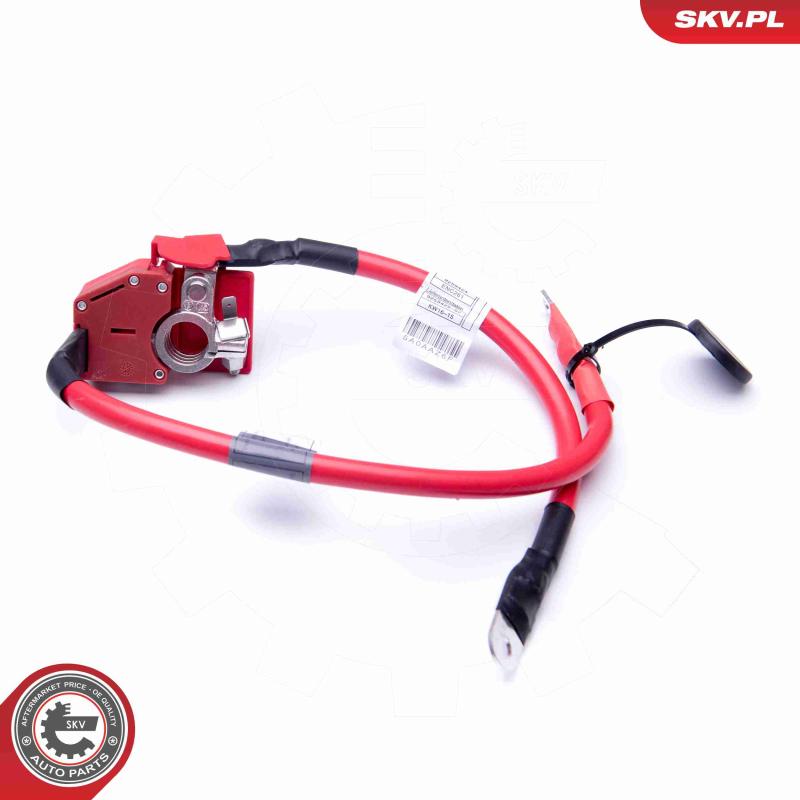 Adaptateur de batterie ESEN SKV 96SKV303 - Visuel 1