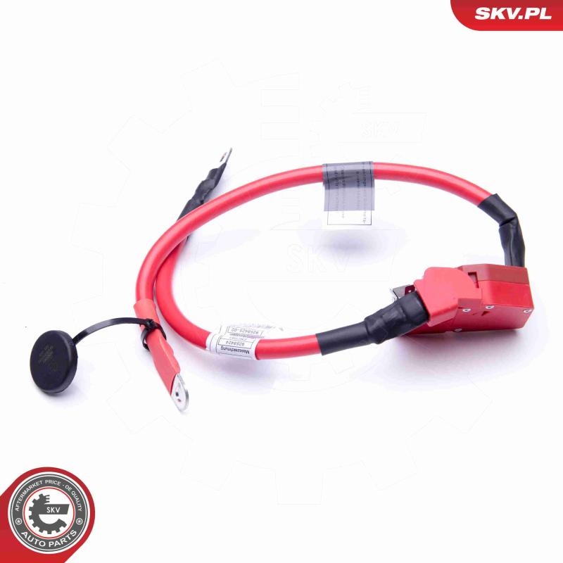 Adaptateur de batterie ESEN SKV 96SKV303 - Visuel 2