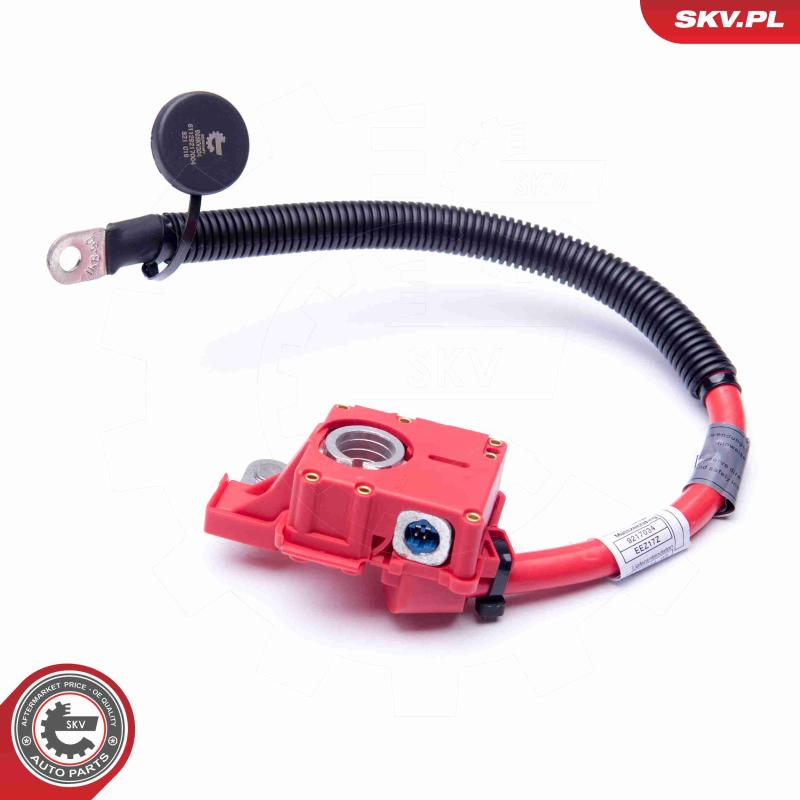 Adaptateur de batterie ESEN SKV 96SKV304 - Visuel 1