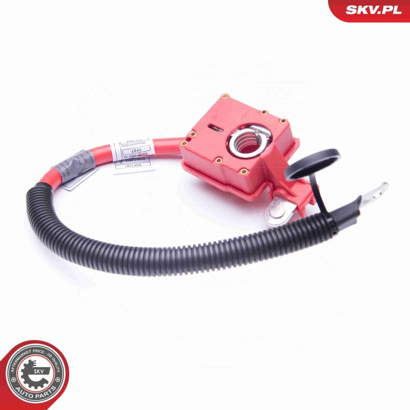 Adaptateur de batterie ESEN SKV 96SKV304 - Visuel 2