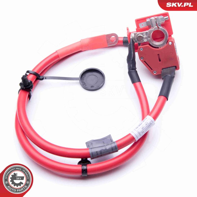 Adaptateur de batterie ESEN SKV 96SKV307 - Visuel 1