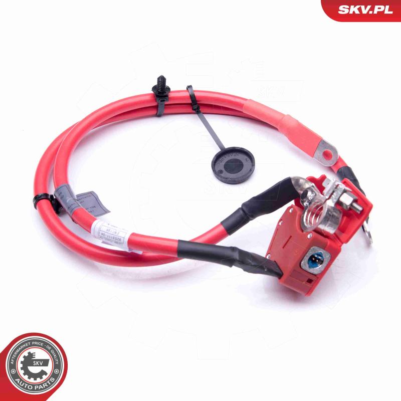 Adaptateur de batterie ESEN SKV 96SKV307 - Visuel 2