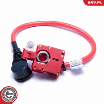 Adaptateur de batterie ESEN SKV 96SKV311 pour BMW X5 3.0si - 272cv