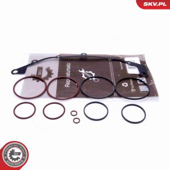 Kit de réparation, module de tube d'aspiration ESEN SKV [96SKV400]