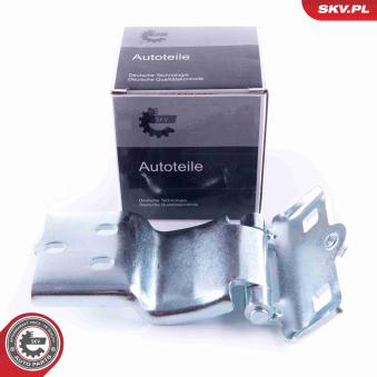 Charnière de porte ESEN SKV [96SKV761]