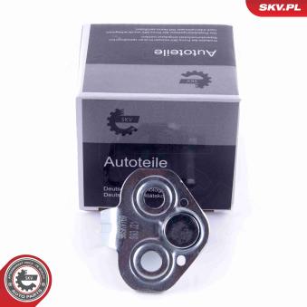 Cale-porte ESEN SKV 96SKV769 pour RENAULT MASTER 2.5 D - 80cv