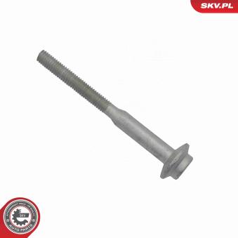 Vis, support pour controleur d'injecteurs ESEN SKV [97SKV511]