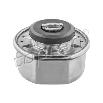 Support moteur TOPRAN OEM 701199201G