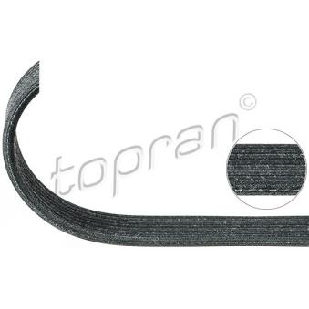 Courroie trapézoïdale à nervures TOPRAN 112 977 Courroie trapézoïdale à nervures TOPRAN 112 977