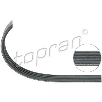 Courroie trapézoïdale à nervures TOPRAN OEM A1609970092