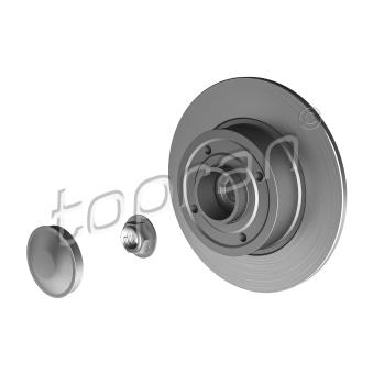 Jeu de 2 disques de frein arrière TOPRAN OEM 8200038305