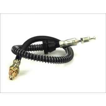 Flexible de frein ABE [C83169ABE]