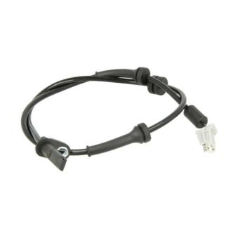 Capteur, vitesse de roue ABE [CCZ1252ABE]